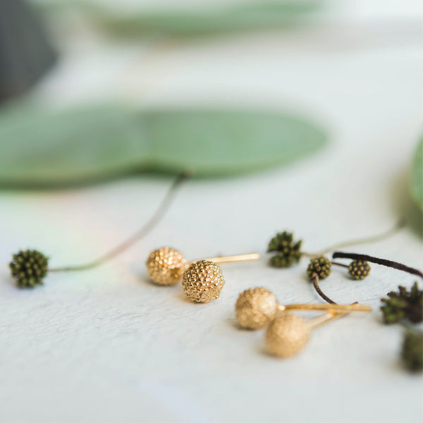 ARETES SEMILLA ACACIA MINI