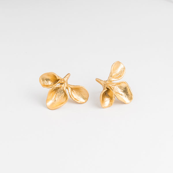 ARETES ANTURIO