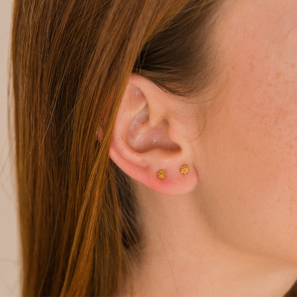 ARETES MINI SUCULENTICA