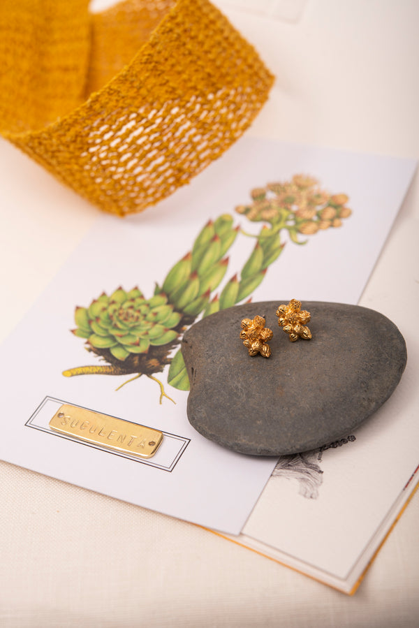 ARETES JARDÍN SUCULENTA