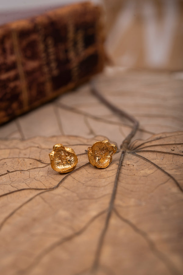 ARETES JARDÍN COROZO